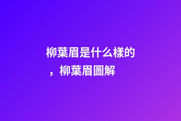 柳葉眉是什么樣的，柳葉眉圖解